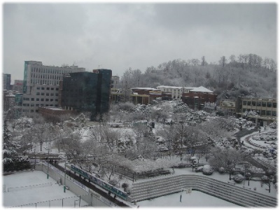 語學堂∥首爾下雪了…不是春天嗎？ 1 12
