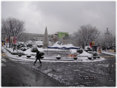 語學堂∥首爾下雪了…不是春天嗎？ 14 14