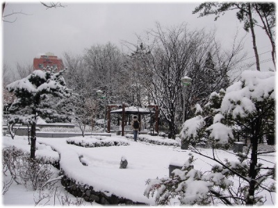 語學堂∥首爾下雪了…不是春天嗎？ 15 15