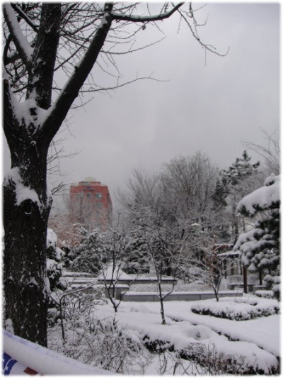 語學堂∥首爾下雪了…不是春天嗎？ 16 16