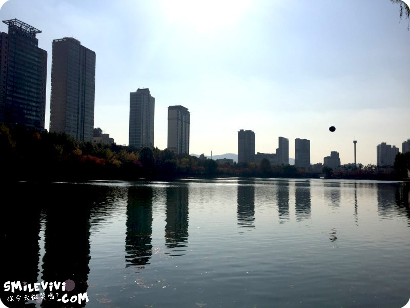 首爾∥韓國首爾蠶室(잠실)2017年落葉節(낙엽거리축제;Autumn Festival)美不勝收石村湖(석촌호수;Seokchon Lake)、樂天世界塔(롯데월드타워; Lotte World Tower) 18 leaf%20%2820%29